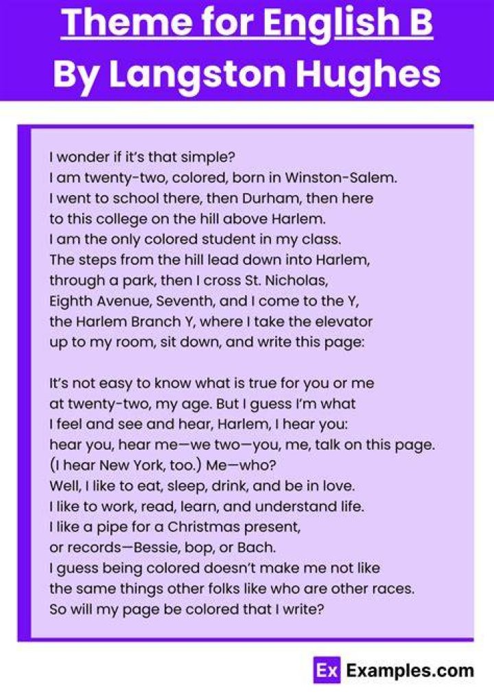 What is the theme in Theme for English B