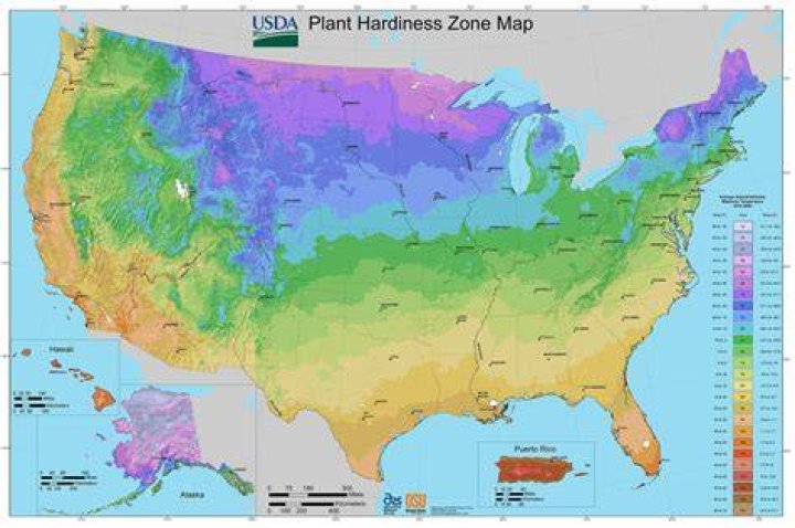 What is the USDA zone hardiness map