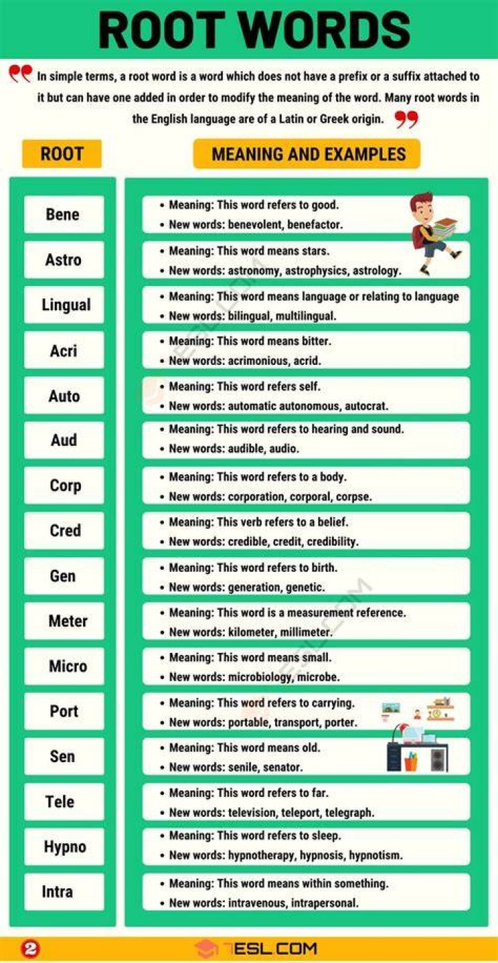 What is the word root for male