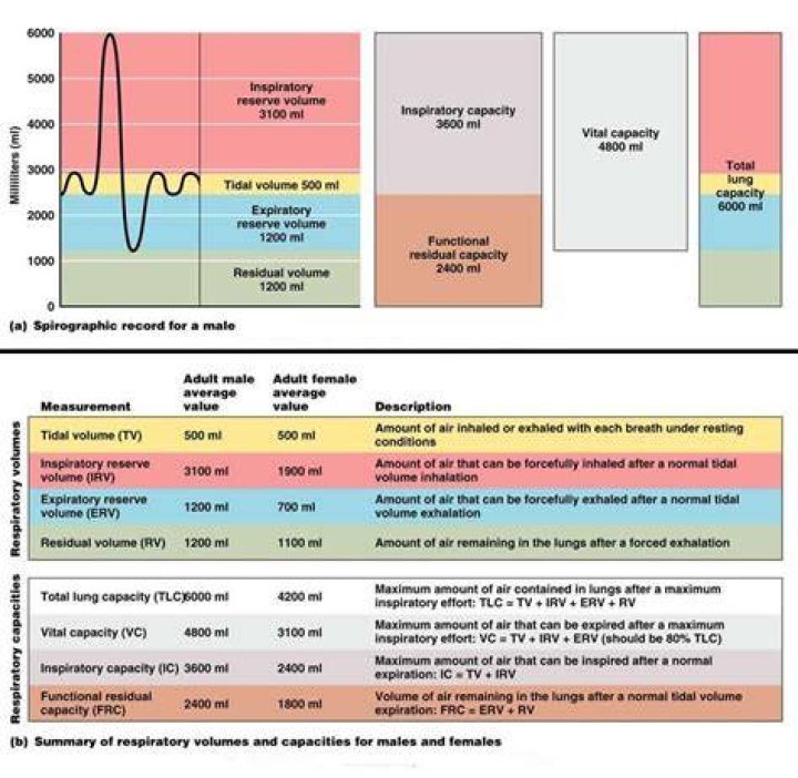 What is TLC in spirometry
