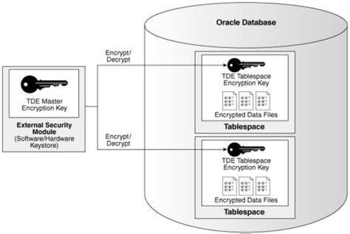 What is transparent data encryption used in Oracle