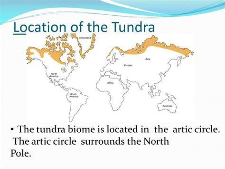 What is tundra and where is it located
