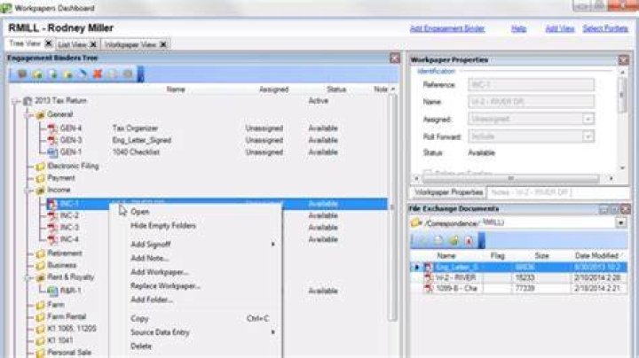 What is workpapers CS