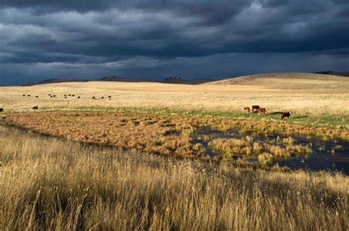 What landforms are in the grasslands