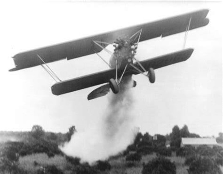 What major airline began as a crop dusting service