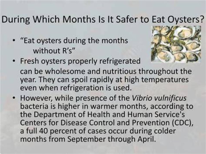 What months should you not eat oysters