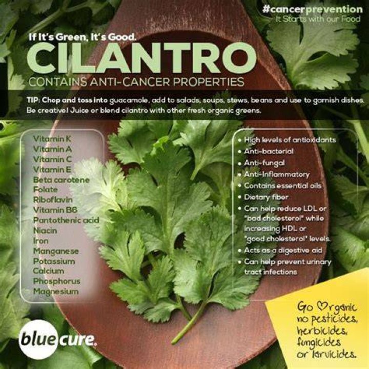 What nutrients are in cilantro