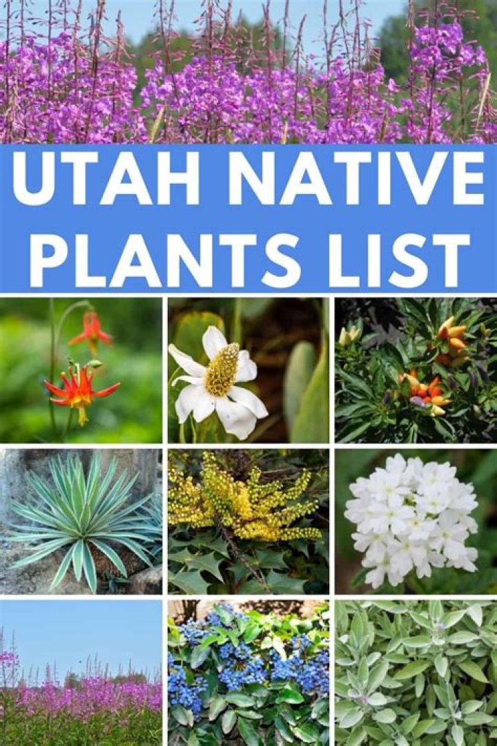 What plants are native to Utah