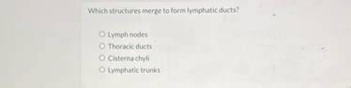 What structures merge to form lymphatic ducts