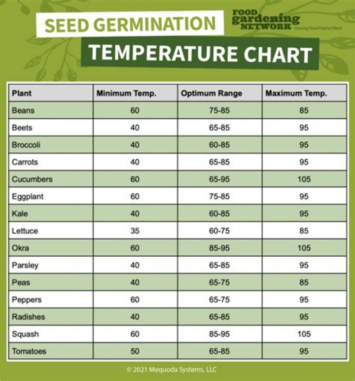 What temperature should you germinate seeds