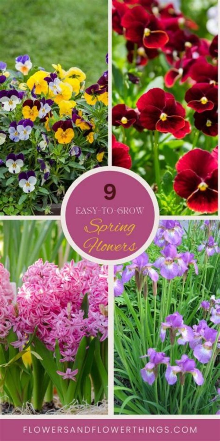 What things grow in spring