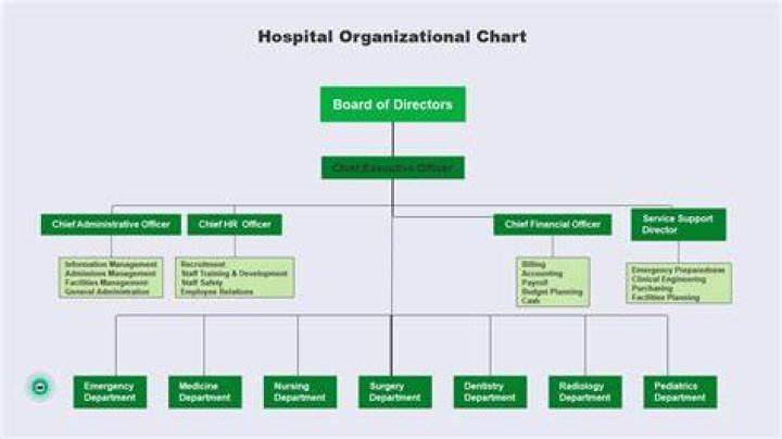 What type of organizational structure does a hospital have