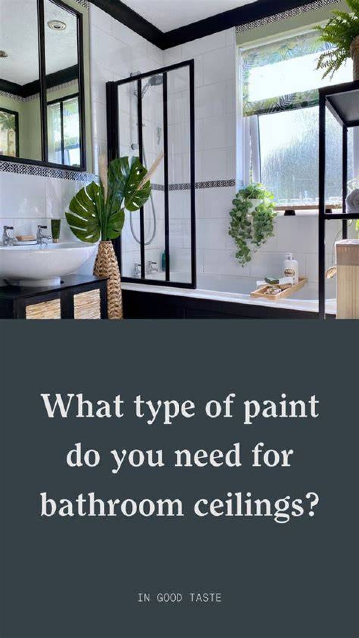 What type of paint do you use in a bathroom