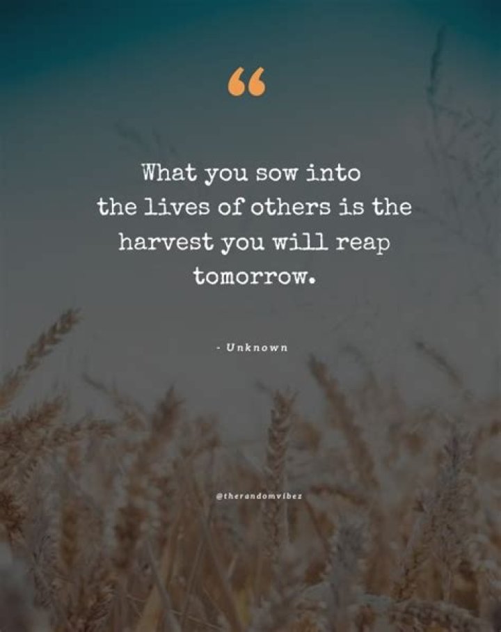 What you sow is what you reap quotes