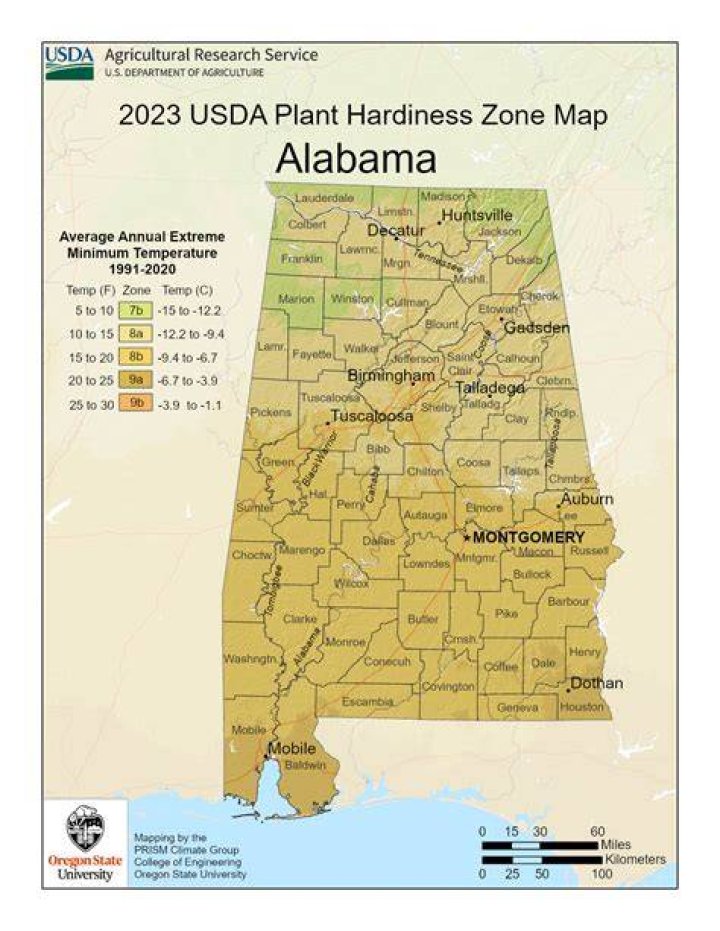 What zone is Alabama in