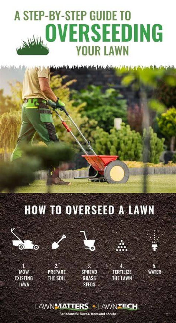 When can I overseed my lawn in Oklahoma