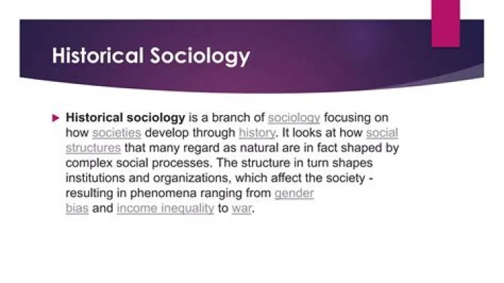 When did sociology become a discipline