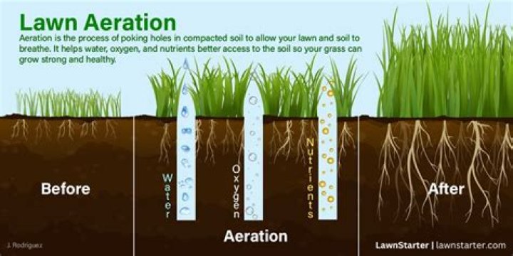 When Should I aerate my lawn in Iowa