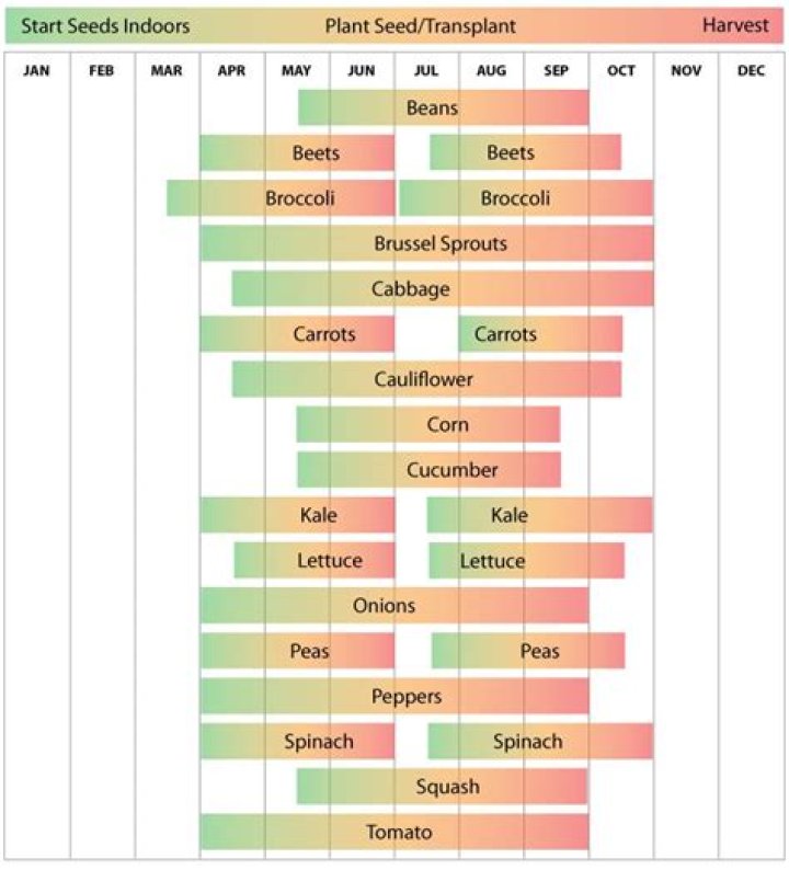 When should I plant my garden in NC