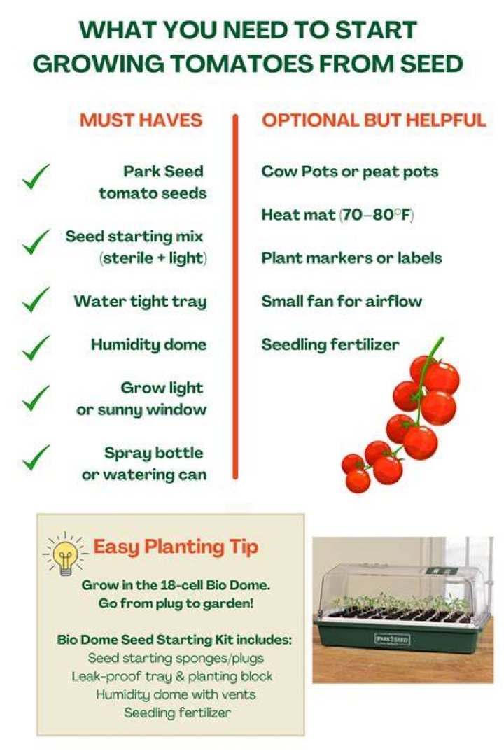 When should I plant tomato seeds in NC