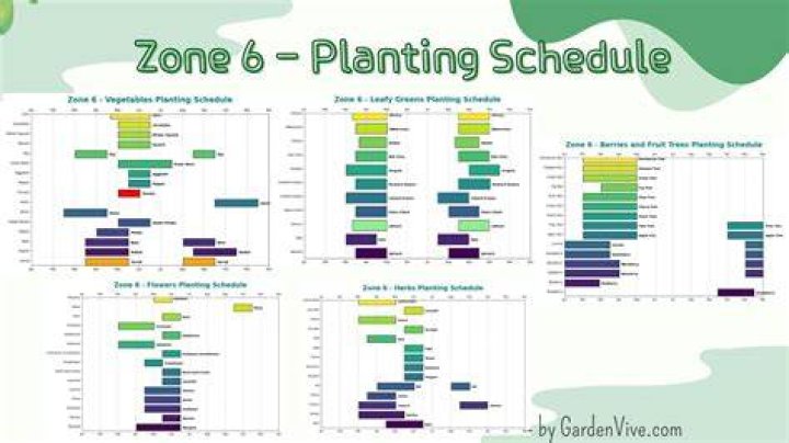 When should I start seeds in zone 6a