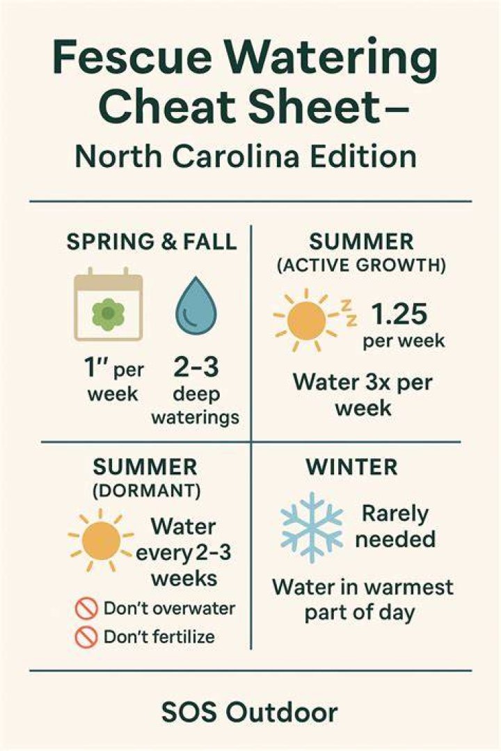 When should I start watering fescue
