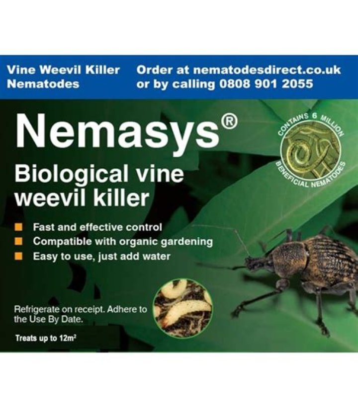 When should I use vine weevil killer