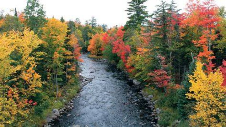 Where are the best fall colors in Michigan