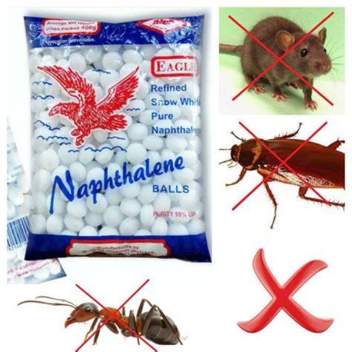 Where can you buy mothballs