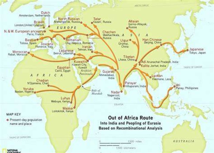 Where did the nzema migrated from
