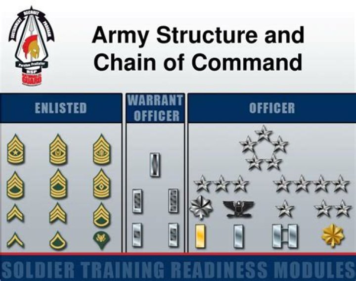 Where do warrant officers fall in the chain of command