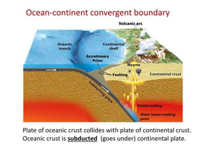 Where is a convergent boundary located