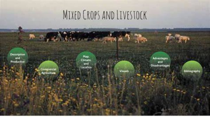 Where is mixed crop and livestock farming most common