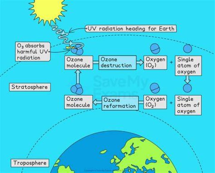 Where is the stratospheric ozone