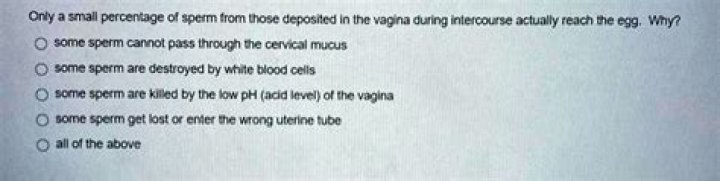 Where sperm is deposited during intercourse