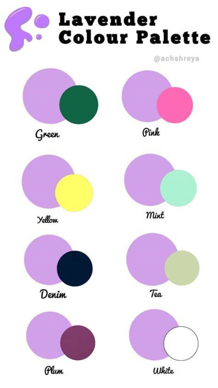 Which Colour matches with lavender