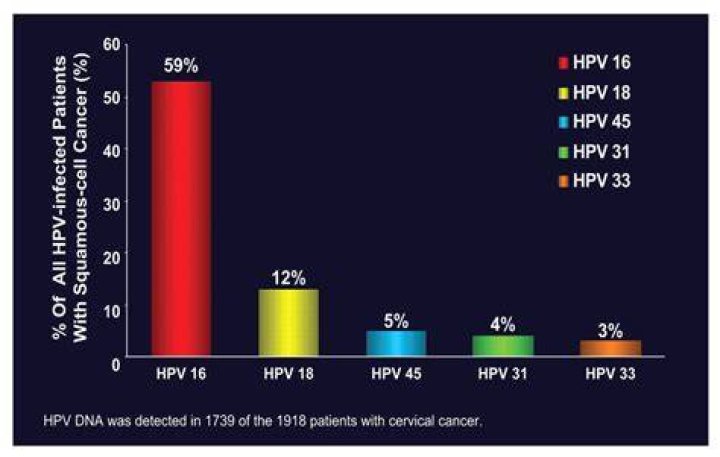 Which HPV types are most often associated with cervical and anogenital cancer
