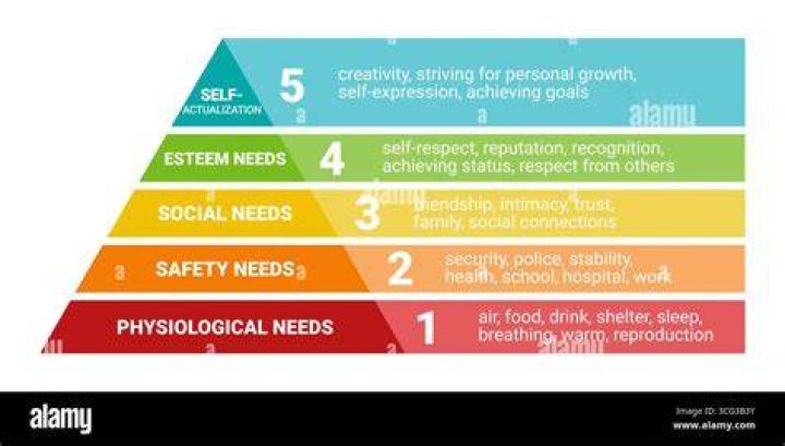 Which is the lowest level of the hierarchy of needs model