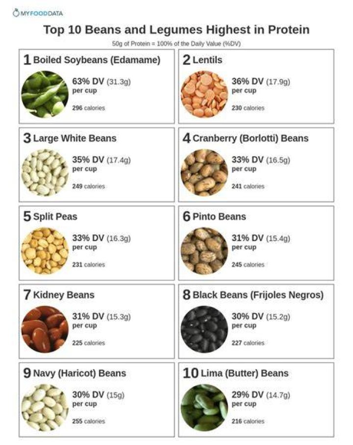 Which legume has the most protein