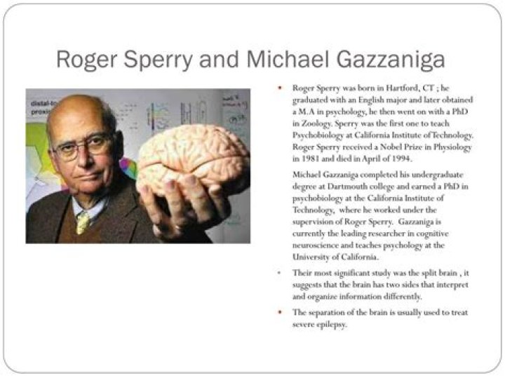 Who is Sperry Gazzaniga