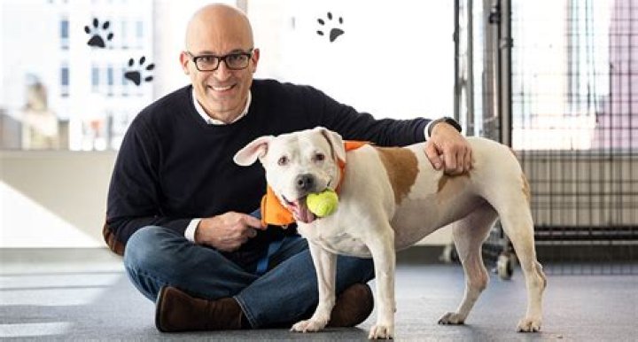 Who is the CEO of the Aspca