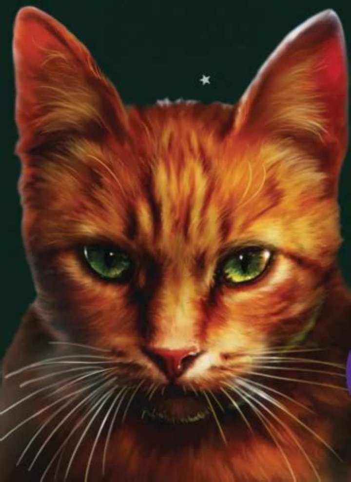 Who is the current leader of ThunderClan