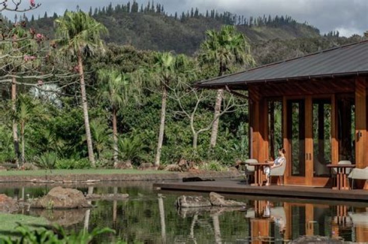 Who owns the Four Seasons Lanai