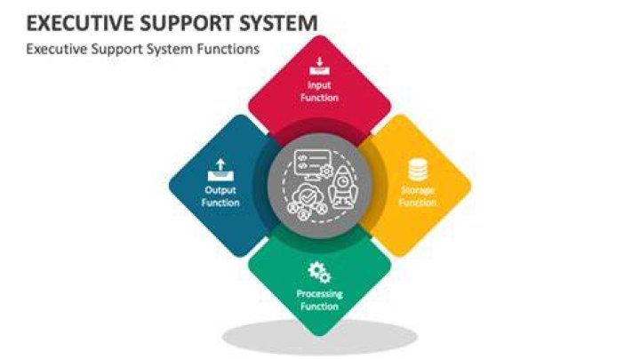Who uses executive support system