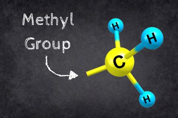 Why are methyl groups important