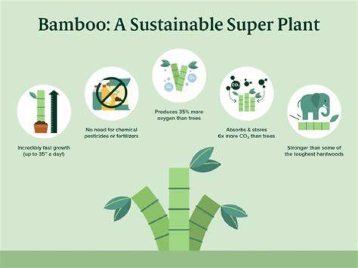 Why are plants sustainable