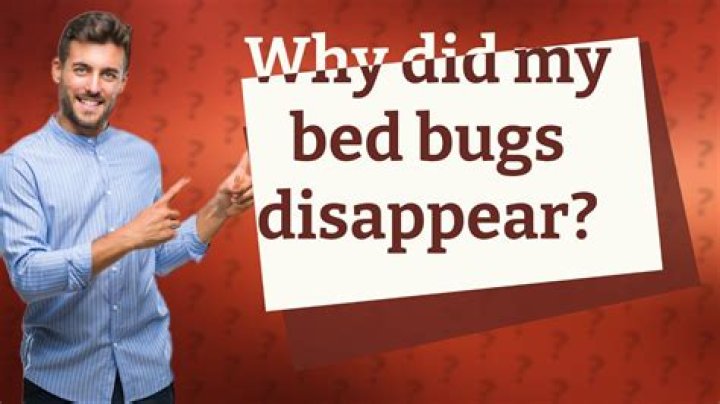 Why did bed bugs come back