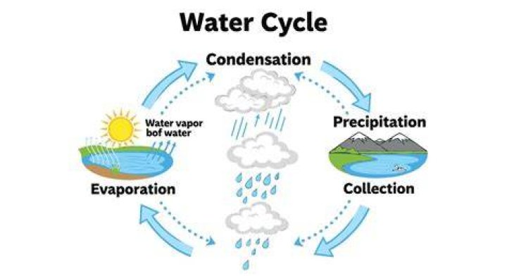 Why is evaporation important in the water cycle