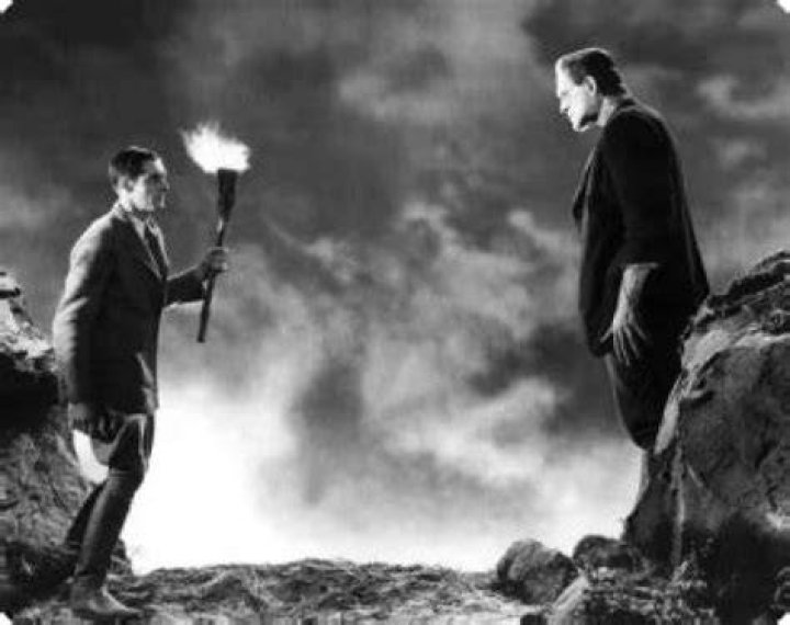 Why is Frankenstein afraid of fire
