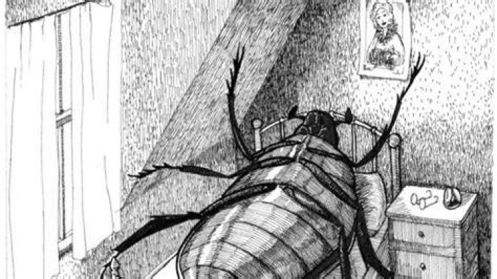 Why is Gregor a cockroach